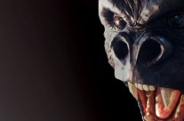 Gorrilla or Guerilla…